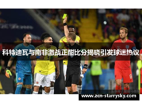 科特迪瓦与南非激战正酣比分揭晓引发球迷热议
